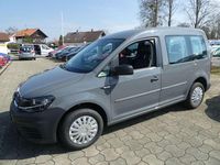 Gebraucht VW Caddy 102 PS (75 kW) 2020 Grau Van / Kleinbus