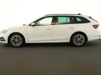 Gebraucht Skoda Octavia Ambition 150 PS (110 kW) 2023 Moonweiss metallic Kombi