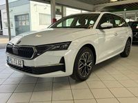 Occasion Skoda Octavia Selection 150 ch (110 kW) 2025 Blanc Break