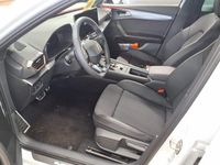 Gebraucht Cupra Formentor 150 PS (110 kW) 2025 Weiß SUV