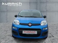 Neu Fiat Panda Icon 69 PS (50 kW) 2026 Blau Kleinwagen