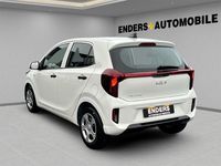 Neu Kia Picanto Edition 7 63 PS (46 kW) 2025 Weiss Kleinwagen