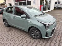 Neu Kia Picanto Vision 79 PS (58 kW) 2025 Adventura grün Kleinwagen