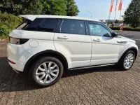 Gebraucht Land Rover Range Rover evoque SE Dynamic 150 PS (110 kW) 2017 Weiß SUV