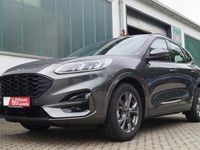 Gebraucht Ford Kuga ST-Line 151 PS (111 kW) 2023 Grau SUV