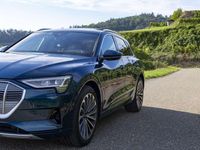 Gebraucht Audi e-tron Advanced 230 kW (313 PS) 2020 Blau SUV