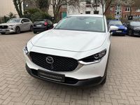 Gebraucht Mazda CX-30 Selection 122 PS (89 kW) 2023 Weiß SUV