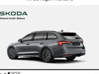 Usata Skoda Octavia 150 CV (110 kW) 2026 Grigio Station wagon
