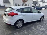 Gebraucht Ford Focus Trend 101 PS (74 kW) 2014 Weiß Kleinwagen