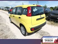Neu Fiat Panda Icon 65 PS (47 kW) 2026 Gelb Kleinwagen