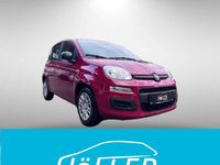 Neu Fiat Panda 69 PS (50 kW) 2025 Rot Kleinwagen