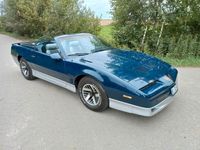 gebraucht Pontiac Trans Am 