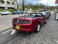 gebraucht Ford Mustang MustangCabrio 2.3 Eco Boost