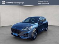 Gebraucht Ford Kuga ST-Line 150 PS (110 kW) 2024 Blau SUV