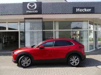 Brugt Mazda CX-30 Selection 122 HK (89 kW) 2021 Rød SUV