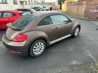 gebraucht VW Beetle 1.4 1ste Hand. Service Neu! TÜV Neu