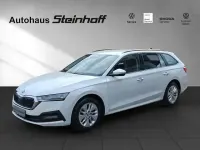 Gebraucht Skoda Octavia Style 116 PS (85 kW) 2021 Weiß Kombi