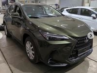 Gebraucht Lexus NX350h 190 PS (139 kW) 2022 Grün SUV