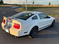 Gebraucht Ford Mustang 604 PS (444 kW) 2007 Weiß Coupé