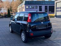 Neu Fiat Panda 69 PS (50 kW) 2025 Schwarz Limousine