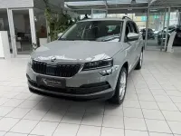 Gebraucht Skoda Karoq Style 150 PS (110 kW) 2022 (steelgrau) SUV