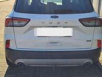 Gebraucht Ford Kuga Titanium 224 PS (164 kW) 2020 SUV