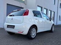 Gebraucht Fiat Punto Young 69 PS (50 kW) 2016 Weiß Kleinwagen