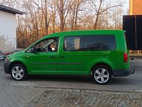 Gebraucht VW Caddy Maxi Beach 102 PS (75 kW) 2020 Grün Van / Kleinbus