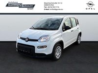 Gebraucht Fiat Panda 69 PS (50 kW) 2024 Weiß Limousine