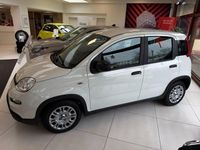 Gebraucht Fiat Panda 69 PS (50 kW) 2024 Weiß Limousine