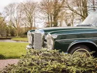 Gebraucht Mercedes 220 SE 120 PS (88 kW) 1962 Grün Cabrio
