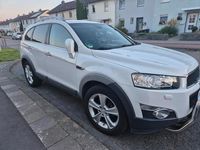 Gebraucht Chevrolet Captiva 183 PS (134 kW) 2012 Weiß SUV