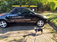 Gebraucht Ford StreetKa 70 PS (51 kW) 2003 Schwarz Cabrio