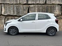 Neu Kia Picanto Vision 68 PS (50 kW) 2025 Schneeweiss Kleinwagen