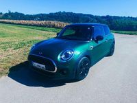 Gebraucht Mini Cooper Chili 136 PS (100 kW) 2021 Grün Kleinwagen