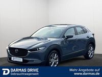 Gebraucht Mazda CX-30 Selection 179 PS (131 kW) 2020 Grau SUV