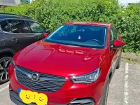 Gebraucht Opel Grandland X Business 131 PS (96 kW) 2020 Rot SUV