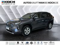 Gebraucht Toyota RAV4 178 PS (130 kW) 2019 Grau SUV