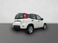 Gebraucht Fiat Panda 69 PS (50 kW) 2024 Weiß Kleinwagen