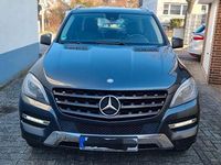 Gebraucht Mercedes ML250 204 PS (150 kW) 2014 Grau SUV