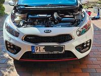 Gebraucht Kia ProCeed GT-Track 204 PS (150 kW) 2016 Weiß Kleinwagen