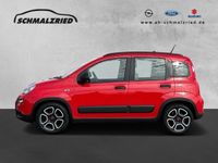 gebraucht Fiat Panda City Life 1.0 Mild Hybrid DAB Berganfahrass. Klima MP3 eFH Tagfahrlicht RDC