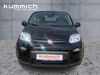 Gebraucht Fiat Panda 69 PS (50 kW) 2024 Schwarz Kleinwagen