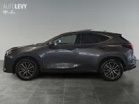 Gebraucht Lexus NX350h Executive Line 243 PS (178 kW) 2022 Sonic grey SUV
