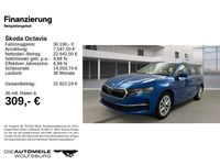 Gebraucht Skoda Octavia Selection 150 PS (110 kW) 2025 Raceblau metallic Kombi