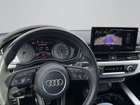 Gebraucht Audi S5 Basis 347 PS (255 kW) 2020 Schwarz Coupé