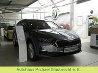 Gebraucht Skoda Octavia Selection 150 PS (110 kW) 2024 Grau Kombi