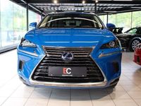 Gebraucht Lexus NX300h 197 PS (144 kW) 2021 Blau SUV