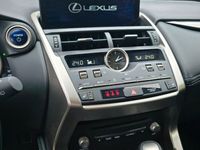 gebraucht Lexus NX300 300h E-FOUR -