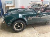 gebraucht AC Cobra JansenMoenikes Kall